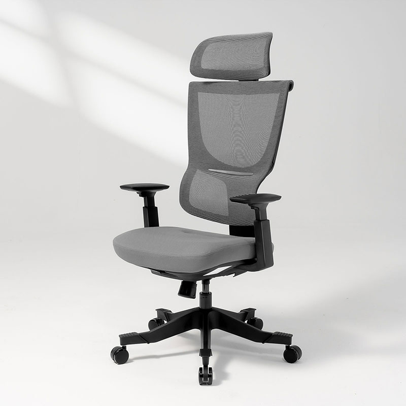 Ergonomic Office Chair (BS8)