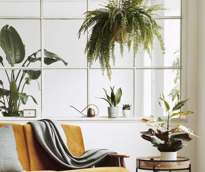 Office Layout Ideas to Freshen up Your Workspace | FlexiSpot