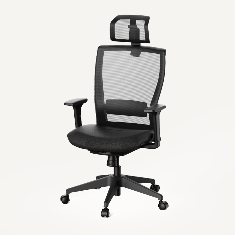 Soutien Ergonomic Office Chair OC4 | Flexispot